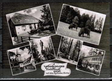 AK Michelstadt / Eulbach, um 1960