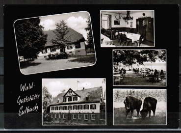 AK Michelstadt / Eulbach, gelaufen 1967