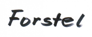 Ansichtskarten vom H�chster Ortsteil Forstel