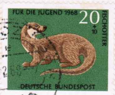 Bund 550 als portoger. EF mit 20 Pf Jugend 1968 / Fischotter auf Inlands-Postkarte von 1968-1969 im Ankauf gesucht !