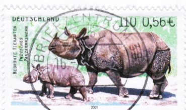 Bund 2183 als portoger. EF mit 110 Pf / 0,56  Nashorn als nassklebe-Marke auf Inlands-Brief bis 20g von 2001/2002 im Ankauf gesucht !