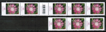 Frankaturwunsch: 8x 95 Cent Flockenblume aus Rolle auf schwerem C5-bergabe-Einschreibe-Rckschein-Brief ber 2 cm Dicke, 23 cm lang