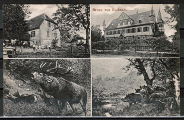 AK Michelstadt / Eulbach, gelaufen 1912