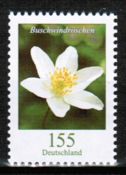Bund 3472 / 155 Cent Blumen-Dauerserie aus Rolle und Bogen (und Skl.) - siehe bei Blumen-Dauerserie !