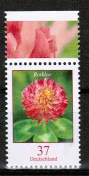 Bund 3656 / 37 Cent Blumen-Serie aus Bogen (und Skl.) - siehe bei Blumen-Dauerserie !