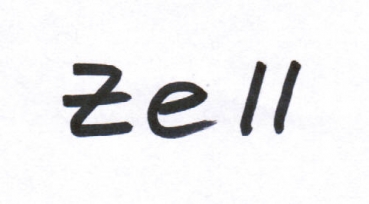 Ansichtskarten vom Bad K�niger Ortsteil Zell