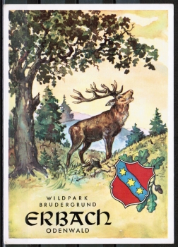 AK Erbach, Knstlerkarte vom Wildpark im Brudergrund, um 1960
