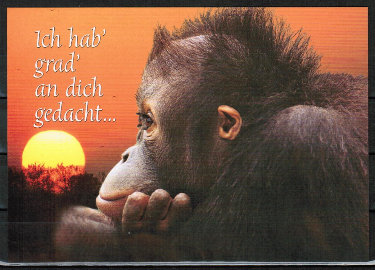 Bedeutung ich habe dich gerade an gedacht Sprüche Ich