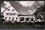 AK Michelstadt / Vielbrunn, Gasthaus - Metzgerei - Pension "Zum Odenwald" - A. Deitrich & Sohn, gelaufen 1960