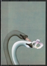 Ansichtskarte von Jean-Paul Donadini - "Duo" - (1981)