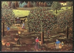 10 gleiche Ansichtskarten von Helena Cortes (Spanien) - ("Apfel(?)ernte")