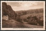 Ansichtskarte Michelstadt / Vielbrunn, Quellkammer in der Hangenmhle, gelaufen 1928 mit Werbestempel Vielbrunn