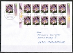 Bund 2480 als portoger. MeF mit 11x 5 Cent Blumen-Serie / Krokus aus Bogen auf Inlands-Brief bis 20g von 2005-2012, codiert