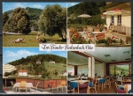 Ansichtskarte Oberzent / Finkenbach, Gasthaus und Pension "Zur Traube" - Adam Hering, um 1965 / 1970