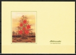 10 gleiche Ansichtskarten von Manfred Horn - "Blütenzauber" (1979) als Kleinbild-AK