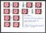 Bund 3296 als portoger. MeF mit 12x 5 Cent Blumen / Phlox aus Rolle auf Inlands-Postkarte von 2019-2021, codiert