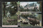 AK Michelstadt / Eulbach, Graf Georg Albrecht zu Erbach Erbach mit erlegtem Hirsch im Eulbacher Park, um 1910