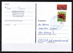 Bund 3189 als portoger. EF mit 70 Cent Schokoladen-Kosmee aus Bogen mit buntem Rand auf Inlands-Postkarte von 2022-2024, codiert
