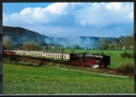 AK Hchst - Dampflock-Sonderzug bei Mmling-Grumbach, 1997