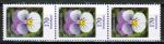 Frankaturwunsch: 3x 170 Cent Blumen-Dauerserie aus Rolle mit Rändern als portoger. EF auf C5-Einwurf-Einschreibe-Brief über 2 cm Dicke