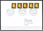Bund 2484 als portoger. MeF mit 5x 10 Cent Blumen / Tulpe oben geschnitten aus Zdr.-Blatt auf Büsingen-Brief von 2007-2010 in die Schweiz, codiert
