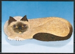 Ansichtskarte von Brigitte Prechtl - "Katzen" (Bestell-Nr. 499)