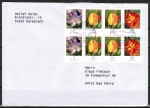 Bund Blumen-Zdr. 5/10/10/20 Ct. Krokus / Tulpe / Tagetes im 8er-Block auf Inl.-Brief 20-50g von 2007-2014, codiert