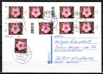 Bund 3296 als portoger. MeF mit 9x 5 Cent Blumen / Phlox aus Rolle auf Inlands-Postkarte von 2017-2019, codiert
