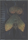 Ansichtskarte von Joan Ponc (1927-1984) - "La Mosca" (Die Fliege) (1966)