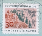 Bund 593 als portoger. EF mit 30 Pf Naturschutz auf Inlands-Brief bis 20g von 1969-1972 im Ankauf gesucht !