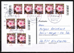Bund 3296 als portoger. MeF mit 9x 5 Cent Blumen / Phlox aus Bogen mit Rand auf Inlands-Postkarte von 2017-2019, codiert