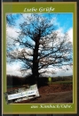Privates Foto / selbstgebastelte AK Bad Knig / Kimbach, Odenwaldbaum im Jahre 2012
