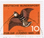 Bund 464 als portoger. EF mit 10 Pf Jugend 1965 / Waldschnepfe auf Inlands-Drucksache bis 20g von 1965-1966 im Ankauf gesucht !