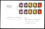 Bund 2480 / 2484 / 2471 als kpl. Blumen-Zdr.-Blatt Krokus / Tulpe / Tagetes auf Inlands-Büchersendung über 50g von 2013-2018, codiert, 20 cm lang