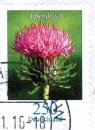 Bund Michel-Nr. 3199 = Blumen-Dauerserie zu 250 Cent - Alpendistel - sehen Sie bei Dauerserie Blumen !