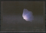Ansichtskarte von Kozo - "Blaue Blume" (1982)