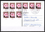 Bund 3296 Skl. (Mi. 3459) als portoger. MeF mit 9x 5 Cent Blumen / Phlox als Skl.-Marke auf Inlands-Postkarte von 2019, codiert, nur kurz !