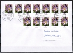 Bund 2480 als portoger. MeF mit 12x 5 Cent Blumen / Krokus je oben+links geschnitten auf Inlands-Brief bis 20g von 2014, codiert