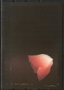 Ansichtskarte von Kozo - "Die drei Grazien III" (1981)