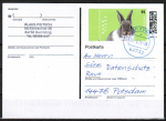 Bund 3899 als portoger. EF mit 95 Cent Kaninchen auf Inlands-Postkarte von 2025-2026, codiert