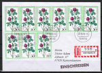 Bund 951 als portoger. MeF mit 9x 50 Pf Wohlfahrt 1977 auf Einschreib-Brief bis 20g von 1995