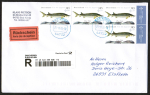 Bund 3171 als portoger. MeF mit 4x 145 Jugend 2015 / St�r auf Inl.-�berg.-EBf. RSch. bis 20g von 2026, codiert, 20 cm lang, Preis VHS