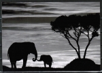(Elefant mit Baby ...)