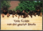 "Viele Gre von der ganzen Bande"