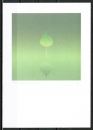Ansichtskarte von Kozo - "Junger Baum" (1984)