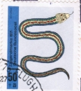 Bund 663 als portoger. EF mit 50 Pf Jugend 1971 auf Inlands-Brief 20-50g oder Auslands-Brief bis 20g im Ankauf gesucht !