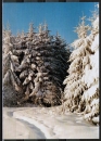 AK Erbach / Bullau, Winterlandschaft bei 6120 Erbach / Bullau im Naturpark Bergstrasse-Odenwald, um 1985